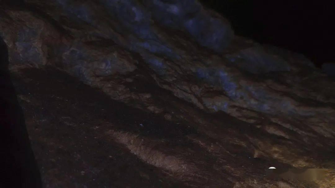 精灵灯塔逃生