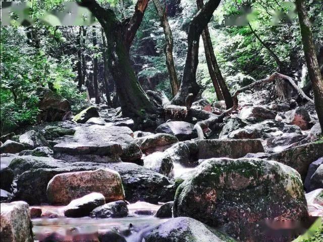 小勇者大作战