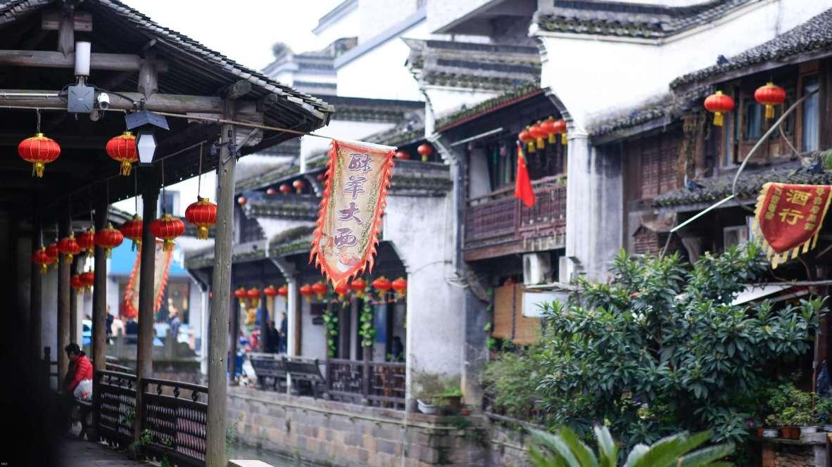 苏菲亚的休闲装