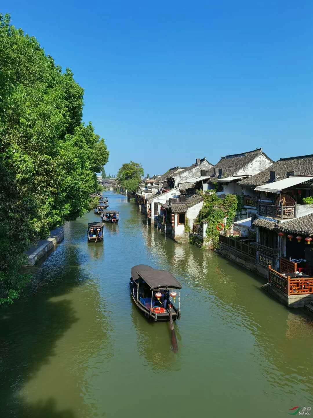 连体姐妹:二人各有老公,姐姐死后,妹妹和尸体共存2天去世